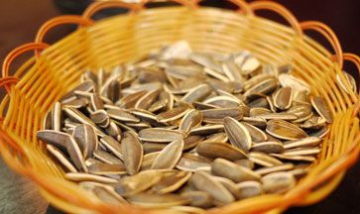 巴彥淖爾市晨泰工貿(mào)有限公司全景...