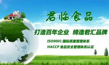 濟(jì)南市君臨食品有限公司全景圖