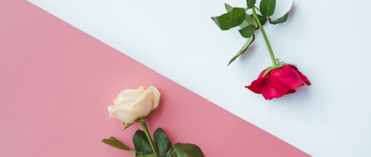 北京網(wǎng)站建設(shè)、北京網(wǎng)站建設(shè)公司、北京網(wǎng)站制作公司、北京網(wǎng)站制作、北京做網(wǎng)站