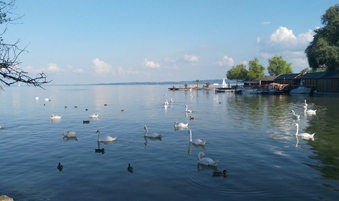 行業(yè)網(wǎng)站建設(shè)、北京網(wǎng)絡(luò)公司　旅游網(wǎng)站建設(shè)