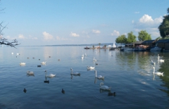 行業(yè)網(wǎng)站建設(shè)、北京網(wǎng)絡(luò)公司　旅游網(wǎng)站建設(shè)