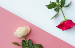 北京網(wǎng)站建設(shè)、北京網(wǎng)站建設(shè)公司、北京網(wǎng)站制作公司、北京網(wǎng)站制作、北京做網(wǎng)站