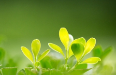 北京網(wǎng)站建設(shè)、北京專業(yè)網(wǎng)頁設(shè)計、北京專業(yè)網(wǎng)站建設(shè)、北京網(wǎng)絡(luò)公司、北京專業(yè)網(wǎng)站開發(fā)公司、北京企業(yè)網(wǎng)站建設(shè)、北京專業(yè)網(wǎng)站制作公司