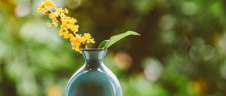 北京網(wǎng)站建設(shè)、北京網(wǎng)站建設(shè)公司、北京網(wǎng)絡(luò)公司