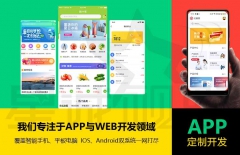 北京APP開發(fā)公司、混合app開發(fā)、app開發(fā)、APP開發(fā)人員
