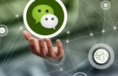 星誠視野、移動網站制作、手機微信網站建設、微信小程序開發(fā)、手機應用開發(fā)