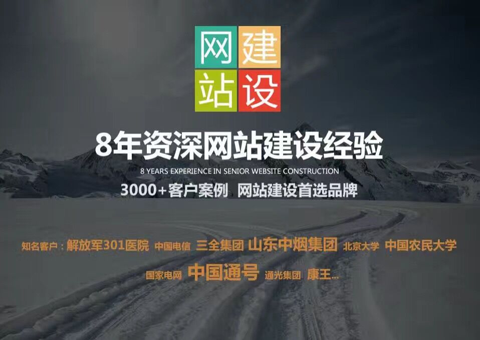 企業(yè)網(wǎng)站要保持良好的專業(yè)性